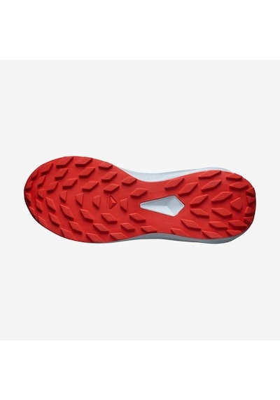 Salomon Alphaglıde Erkek Ayakkabısı L47724300 Çok Renkli