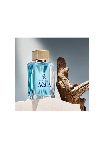 Giordani Gold Mister Giordani Aqua Eau De Parfum Odunsu