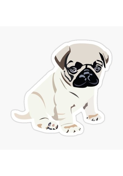 Pug Irkı Cinsi Köpek Sticker Araba Oto Yapıştırması 17Cm A2