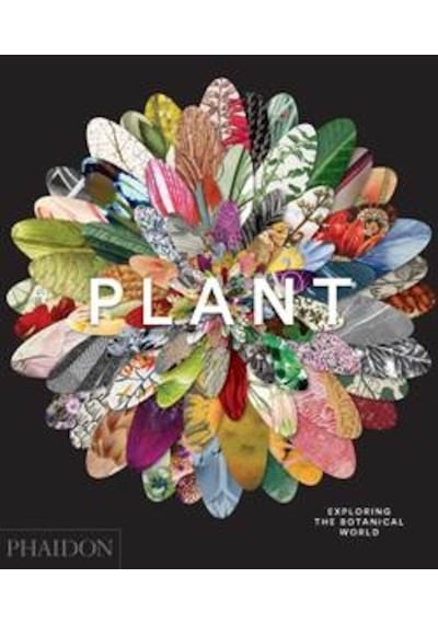 Plant- Phaidon