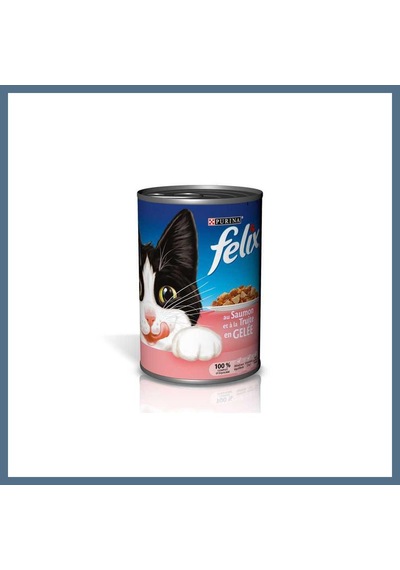 Buradabulabilirsin Kedi Konserve Somonlu 400gr 1 Adet Bbz
