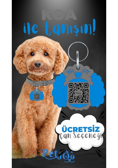 Petjoo 14.Koa Mavi-Gri Qr'lı Köpek Künyesi