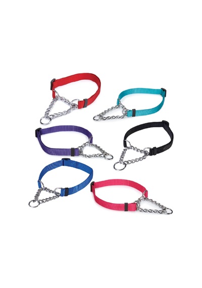 Ayarlanabilir Martingale Choke Tarzı Köpek Tasması Çok Renkli