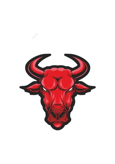 Kızgın Boğa Sticker 15Cm