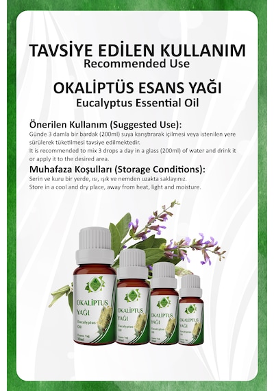 Eucalyptus Essential Oil Okaliptus Yağı 10 Ml.