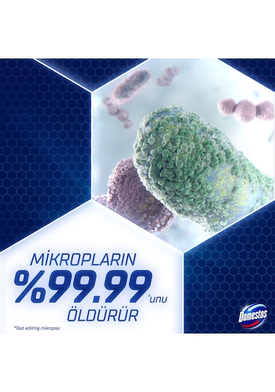 Domestos Yoğun Kıvamlı Çamaşır Suyu Dağ Esintisi 750 Ml Tekli