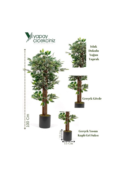 Yapay Çiçekçiniz Gri Saksıda 100 Cm Yeşil Beyaz Benjamin Ağacı Diğer
