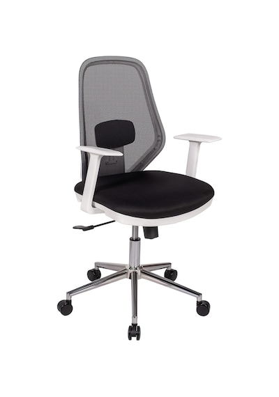 Ofisbazaar Dali Beyaz Fileli Çalışma Koltuğu Ergonomik Şef Ve Toplantı Koltuğu Siyah Fileli Siyah Ofisbazaar Dali Beyaz Fileli Çalışma Koltuğu Ergonomik Şef Ve Toplantı Koltuğu Siyah Fileli Siyah