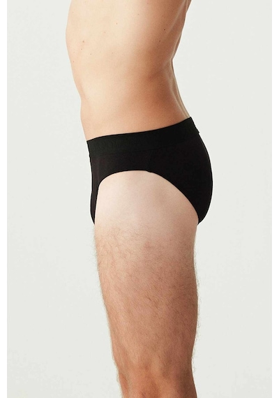U.S. Polo Assn. U.S Polo Bantlı 3Lü Slip 80177 001