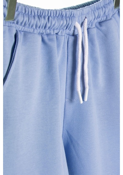 Terapi Men Erkek Mavi Basic Regular Fit Şort & Bermuda Gök Mavisi