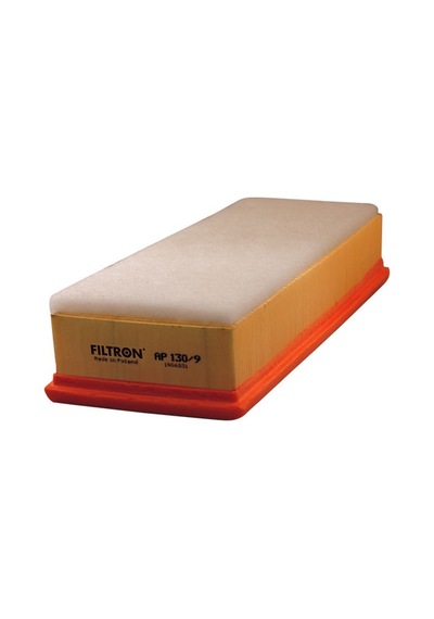 Filtron Hava Filtresi AP130/9