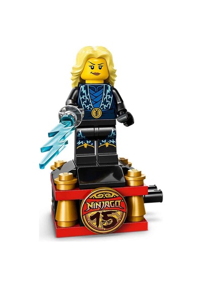 Nınjago Ninja Karakteri Sergileme Modeli 15 Yıl Dönümü 71866