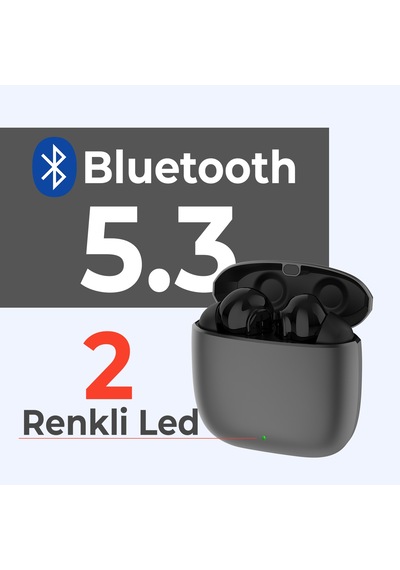 Bix Soundcraft TW4 Bluetooth 5.3 Metal ENC Kulak içi Kulaklık