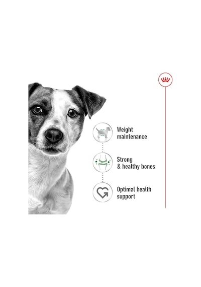Mini Adult Köpek Yaş Mama, 85 Gr