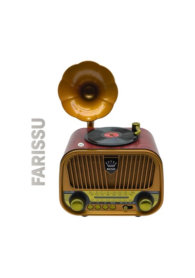 Nostaljik Gramofon Tasarımlı Bluetooth Radyo Fm/am/sw Usb & Tf Kart Destekli Type-c Şarjlı