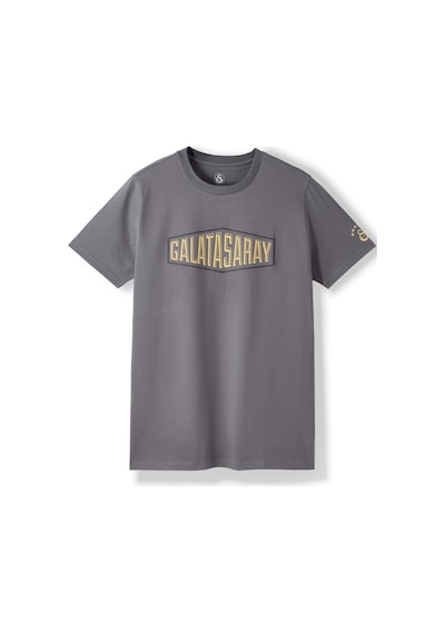 Gsstore Galatasaray Erkek T-shirt E252097 Antrasit