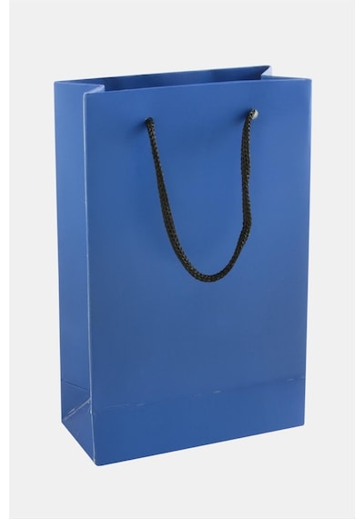 11x17 - 902 - İpli Karton Çanta 1 - Spt-gld - Adet Mavi Mavı