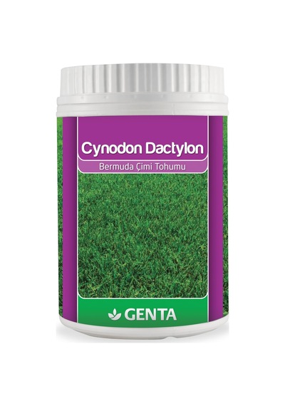 Genta Cynodon Dactylon Bermuda Çim Tohumu 500 Gr Sku: Smg8690010003249 Açık Gri