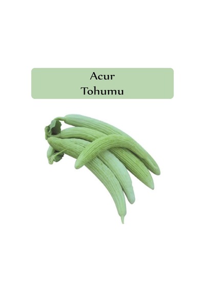 Acur Tohumu 1 Paket 1. Kalite Tohum Kapalı Paket Tohum Acur