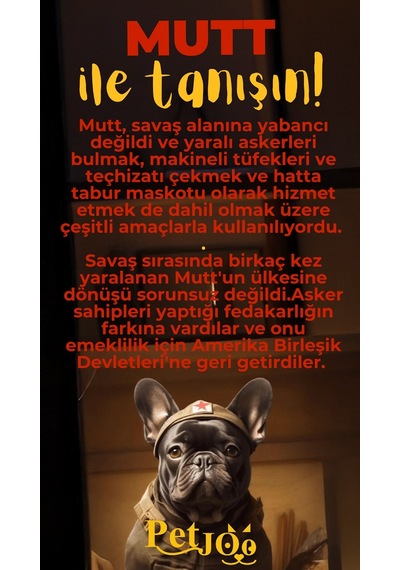 Petjoo 10.Mutt Sarı-Kırmızı Qr'lı Köpek Künyesi