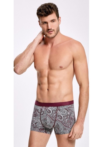 Ilke 1604 Erkek Modal Boxer 001