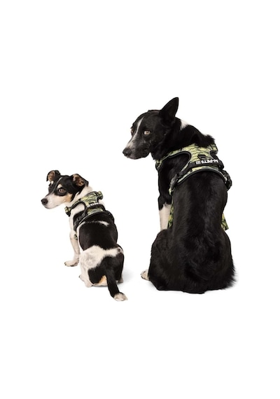 M-pets Hıkıng Reflektörlü Kamuflaj Desenli Soft Köpek Göğüs Tasması L Siyah