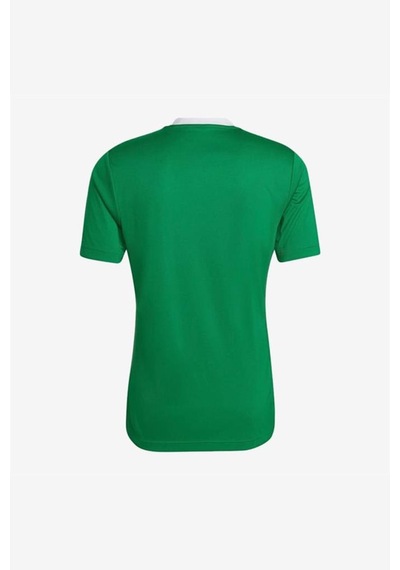 Adidas Entrada 22 Jersey Adhı2123 Yeşil Erkek Forma 001