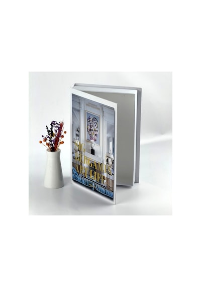 Bak Gel Al Kitap Görünümlü Dekoratif Kutu, İskandinav Tarzı Kitap Şeklinde Saklama Kutusu, Ev Dekorasyonu Desing - Dvdktpkt003