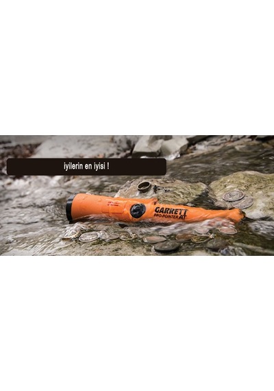 Garrett Ace 300İ + Garrett Pro-Poınter At Ace300İ-Usa