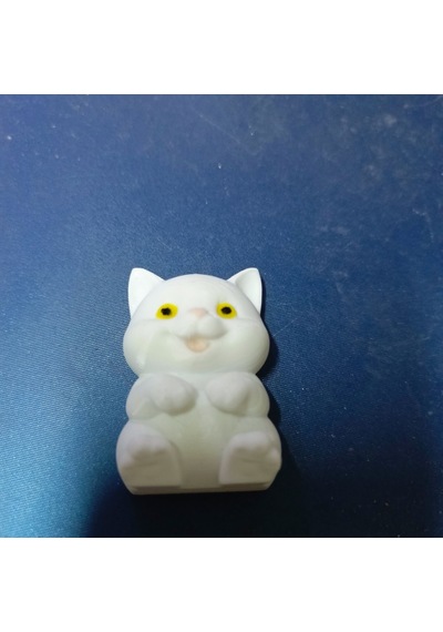 Oturan Beyaz Yavru Kedi Magnet