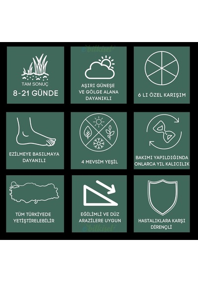 Ayrex Ebitkisel Çok Yıllık Çim Tohumu 5 Kg Uzun Ömürlü 6'li Karışım Gölge Ve Aşırı Güneşli Alan Uygun Ye 0,250