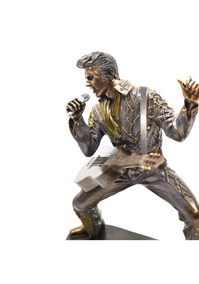Rock'n Roll'un Kralı Elvis Presley Biblosu