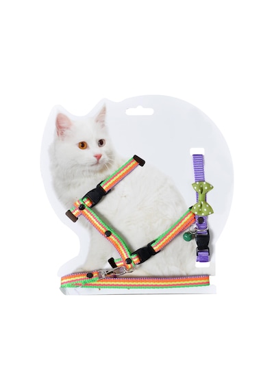 Kedi Göğüs bel Gezdirme Takımı Boyun Tasma Hediyeli