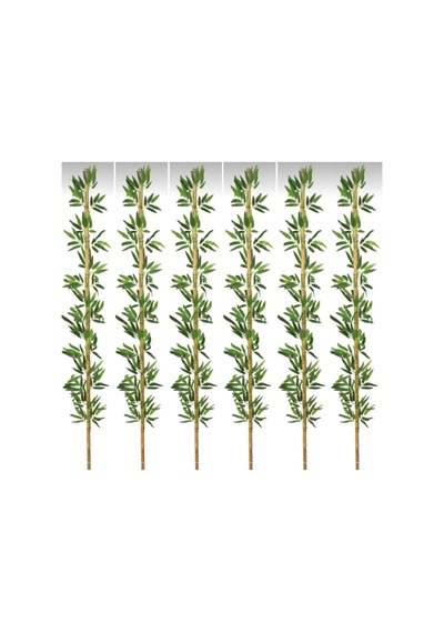 Rüzgar Yapay Çiçekçilik 2metre 6 Adet Bambu Yeşil