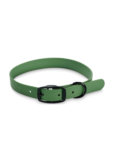 Köpek Tasması Yeşil