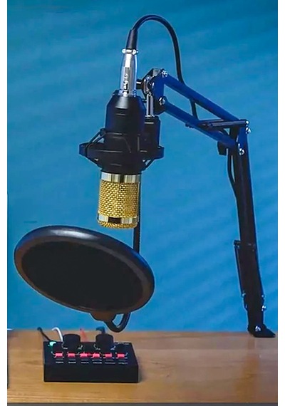 Thentech Profesyonel Kondansatör Mikrofon Seti Ses Kartı Komple Set Profesyonel Yayıncılar İçin Mikrofon Set