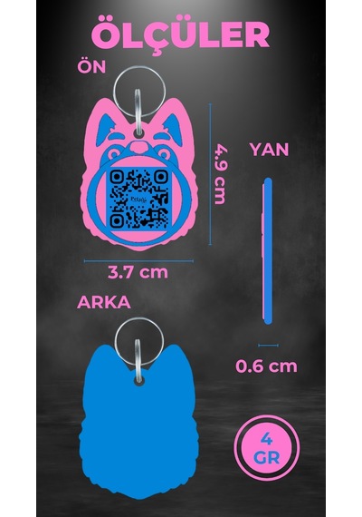 Petjoo 24.Proteo Mavi-Pembe Qr'lı Köpek Künyesi