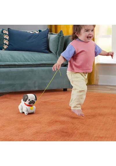 Fisher-price Sesli Minik Dostumla Yürüyüş Eğlenceli Çekçekli Köpek Oyuncağı 16,2 Cm