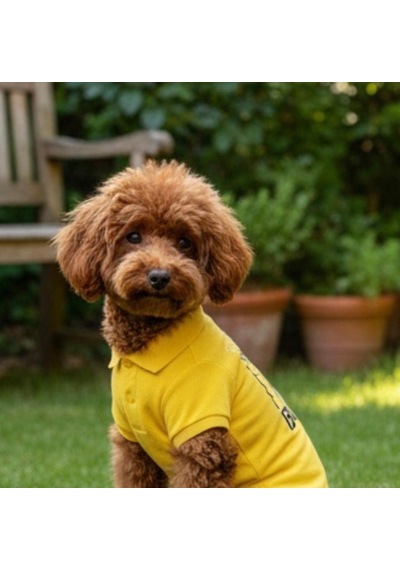 Miniş Yellow-black Küçük Irk Köpek Pike Kumaş Polo T-shirt-21583