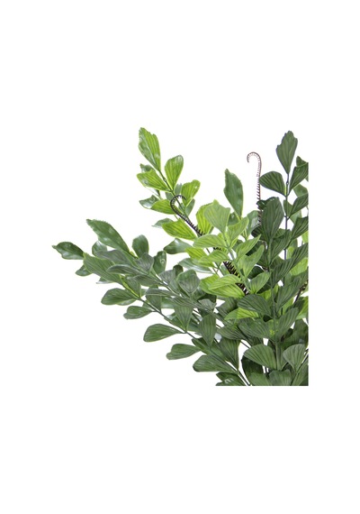 Yapay Ruskus Demeti 65 Cm-10498