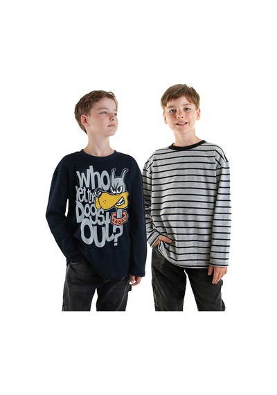 Denokids Erkek Çocuk 2'li Paket T-shirt Renkli