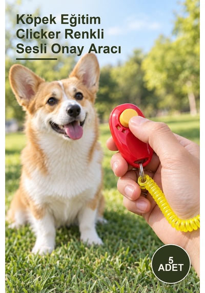 5 Adet Köpek Eğitim Clicker Renkli Sesli Onay Aracı