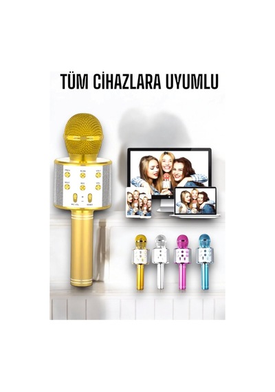 Taşınabilir Bluetooth Karaoke Mikrofon: Hafıza Kart Girişli, Etkileyici - Lisinya