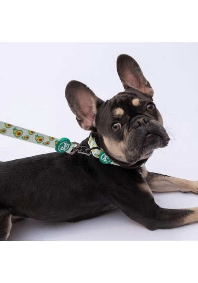 Avocado Avokado Desenli Köpek Boyun Tasması Ayarlanabilir Köpek Tasması M Size 32-48cm Boyun Aralığı Yeşil