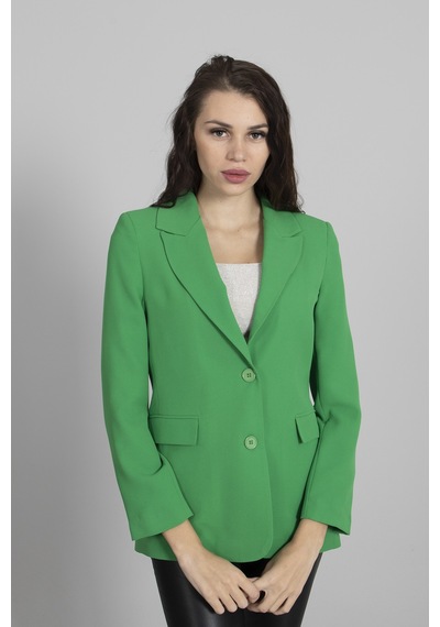 Feminist Yeşil Vatkalı Astarlı Blazer Ceket 0105110.07 Yeşil