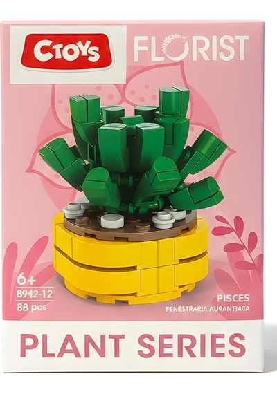 Ctoys Florist Burçlar Saksılı Bitki Yapım Seti Pisces 8942 12