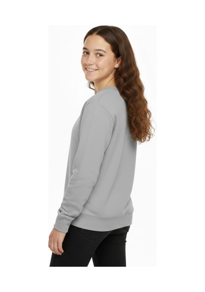 Kız Çocuk Baskılı Sweatshirt Bgl-st05267 Gri