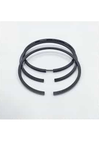 Std. Segman 95 Mm. Tk X3 1900677