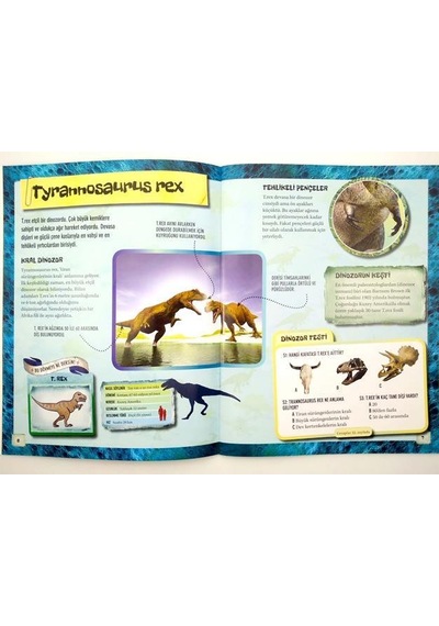 Dinozorlar - Dövme Kitabı - Caroline Rowlands - Bahçeşehir Yayınları