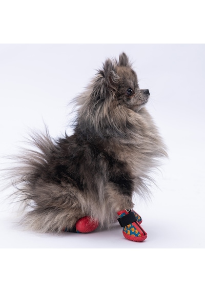 Pawstar Ducks Köpek Ayakkabısı